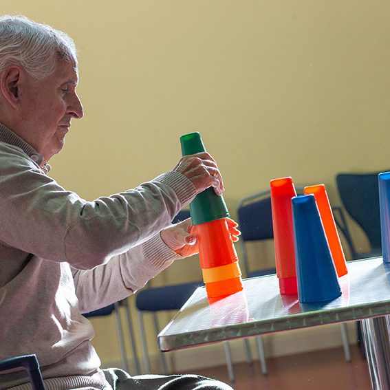 Terapias y Servicios