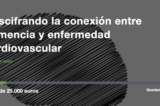 Descifrando la conexión entre demencia y enfermedad cardiovascular
